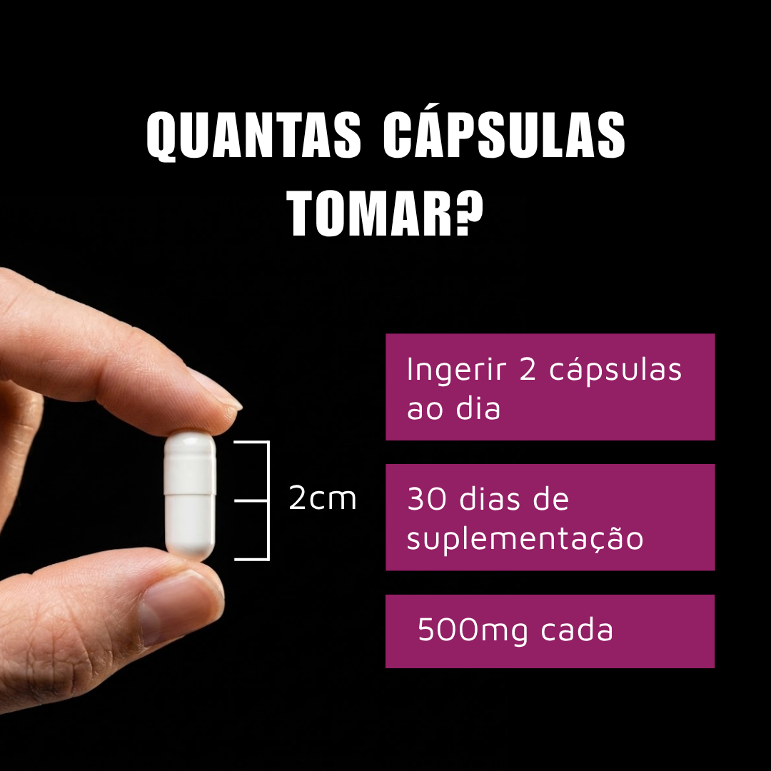 Colágeno Tipo II Armstrong – Com MSM e Ácido Hialurônico (60 Cápsulas)