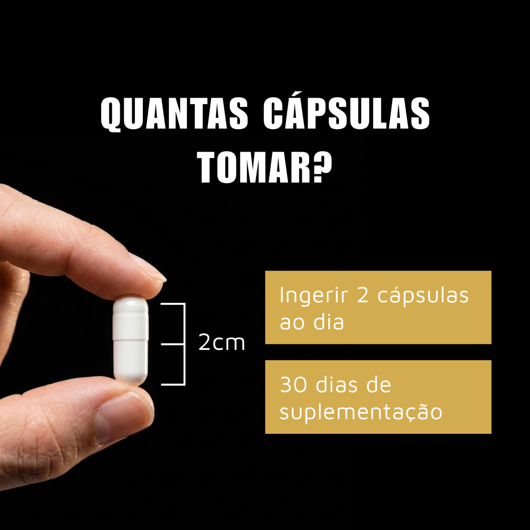 Ômega 3 Alta Concentração 360 EPA 240 DHA - 60 Cápsulas Armstrong
