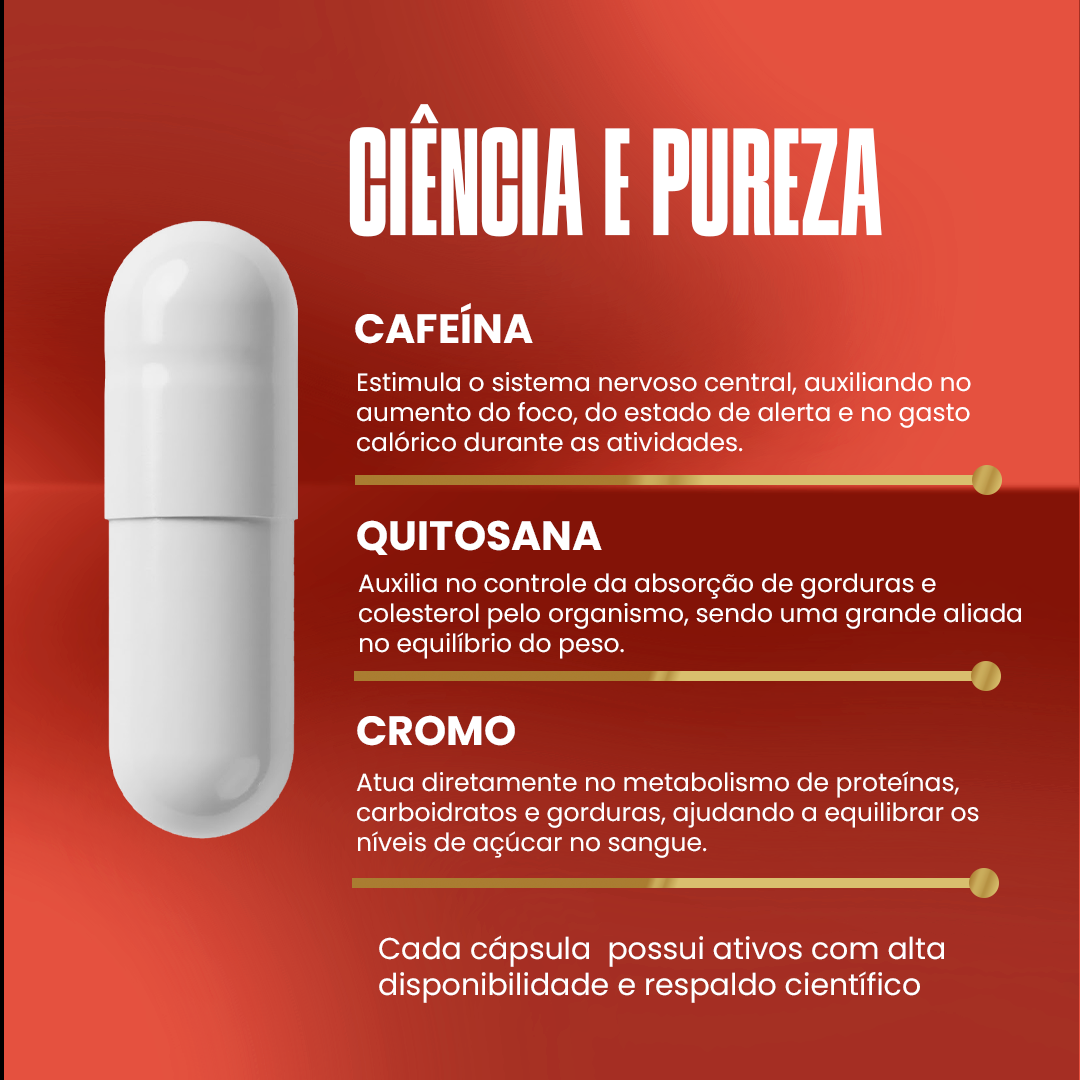 Termogênico Armstrong – Cafeína, L-Carnitina e Taurina (60 Cápsulas)